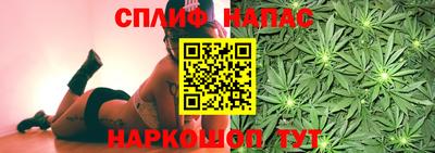 гашик Краснознаменск
